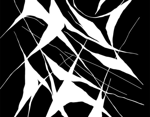 blank poster animal