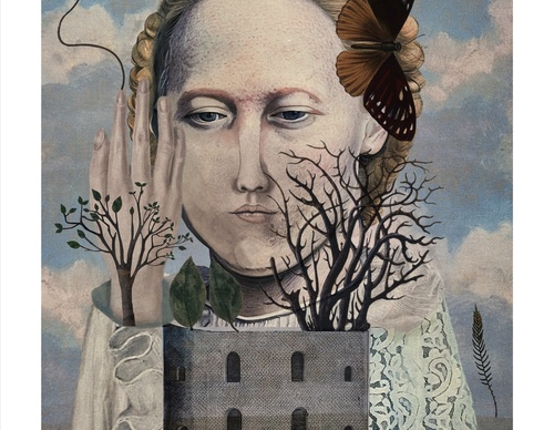 Galeria de ilustrações de Sarah Jarrett - Jamaica