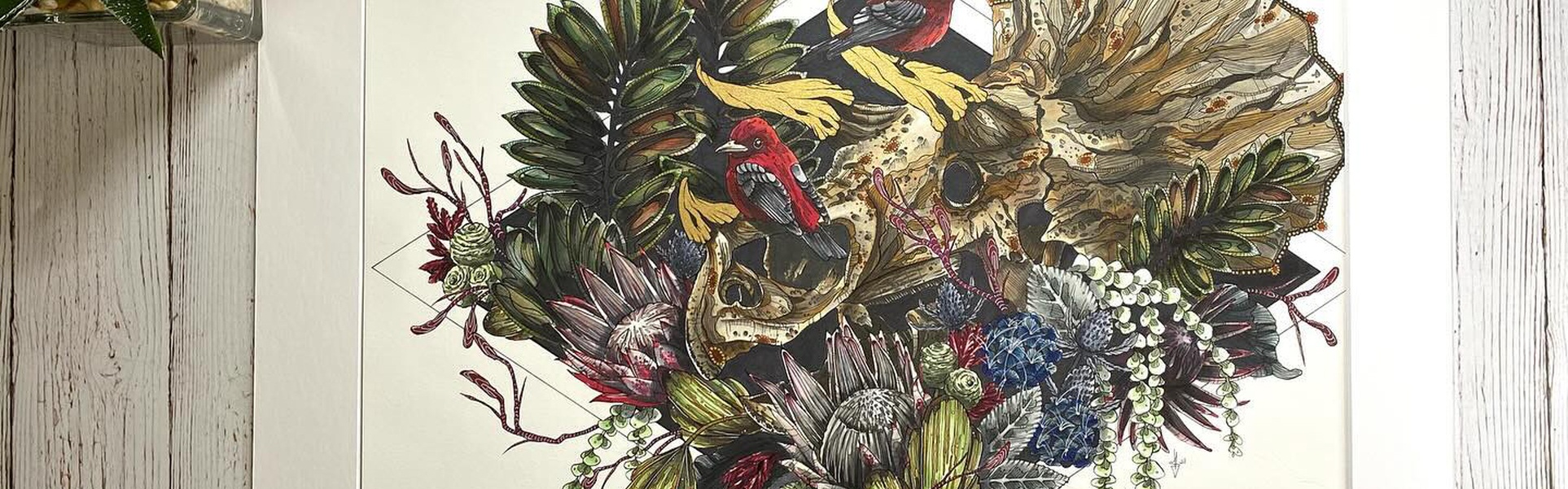 Galería de ilustraciones de Mallarie Bundy - EE. UU.