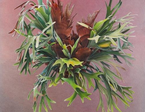 Gallery Of Visual Art By Carlo Batistella - Brazil