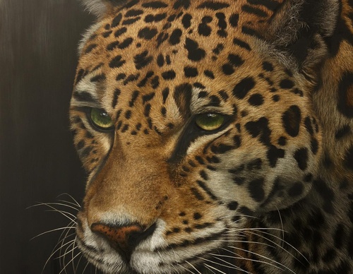 Galería de pintura realista de Annie Drew - Reino Unido
