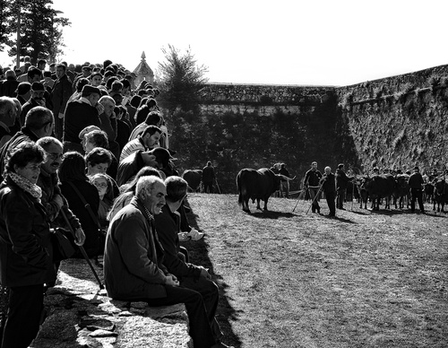 Gallery Of Photography By João Madureira - Portugal