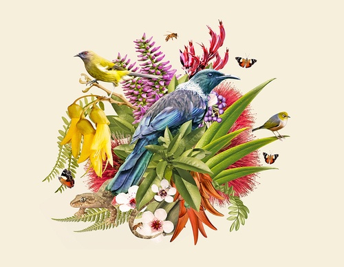 guillermo flores pacheco