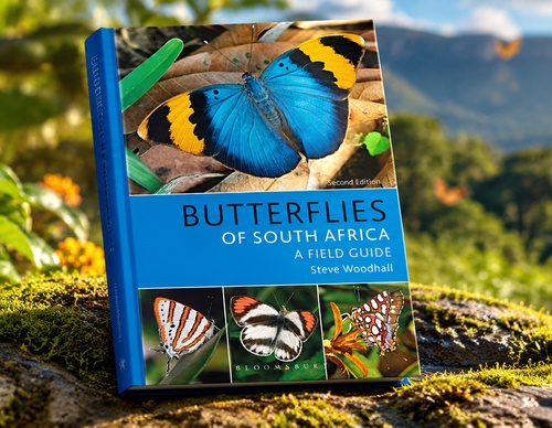 BUTTERFLIES OF SOUTH AFRICA: A FIELD GUIDE