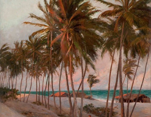 Gallery Of Painting By Manuel de Araujo-Brazil