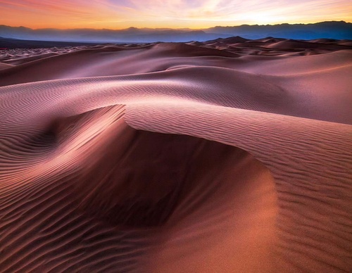 Gallery Of Photography By Mads Peter - Danish