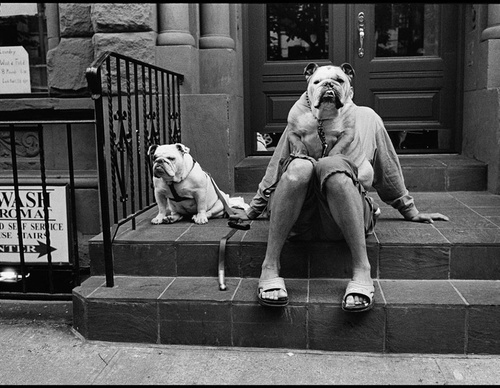 elliott erwitt