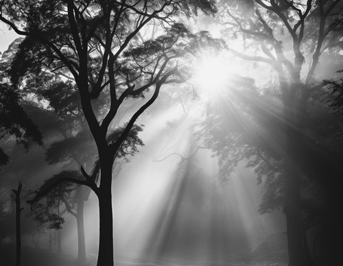 Gallery Of Photography By Christian Hartmann - Germany