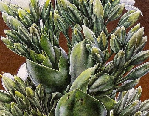 Gallery Of Visual Art By Carlo Batistella - Brazil