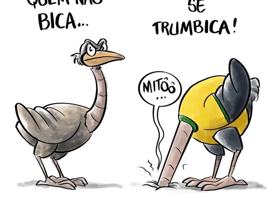 Custódio Rosa