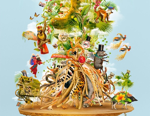 guillermo flores pacheco