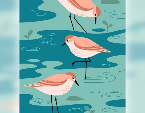 Gallery Of Illustration By Cat Finnie - England