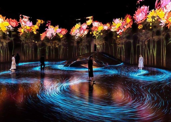 The Evolution of Digital Art in the 21st Century