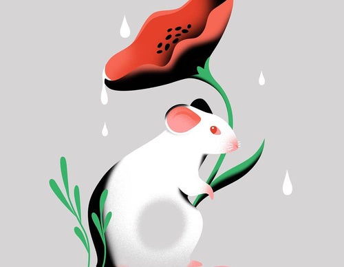 Gallery Of Illustration By Cat Finnie - England