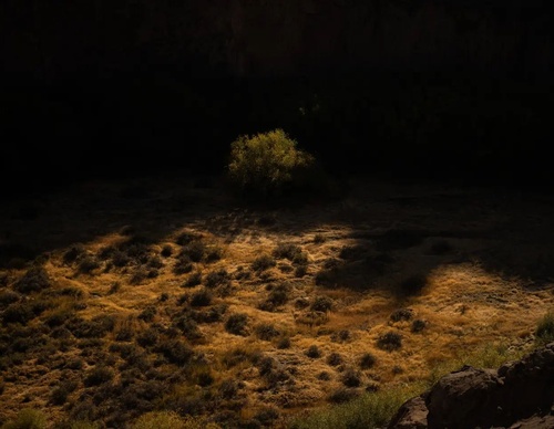 Galería de fotografía de Sebastián López Brach - Argentina