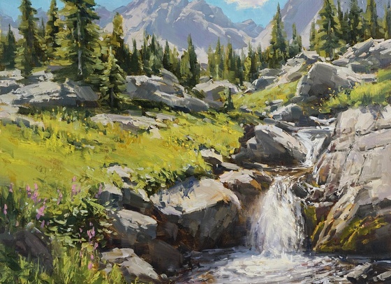 Aaron Schuerr