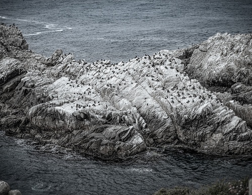 Galeria De Fotografia De Guillermo Bernaldo - Argentina