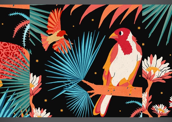 Gallery of Illustration by Bárbara Dantas – Brazil