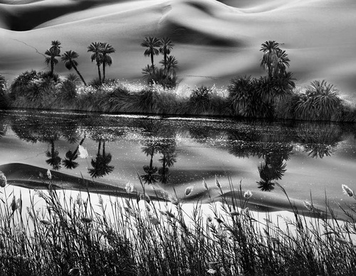 Galeria de Fotografia de Sebastião Salgado-Brasil