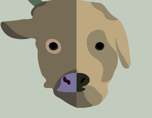 blank poster animal