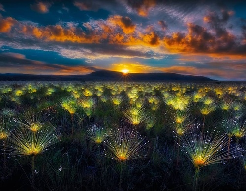 Galería de fotografía de Marcio Cabral - Brasil