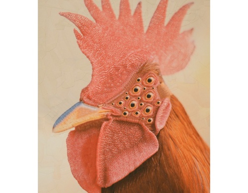 Galería de ilustración de Lola Dupre - británico