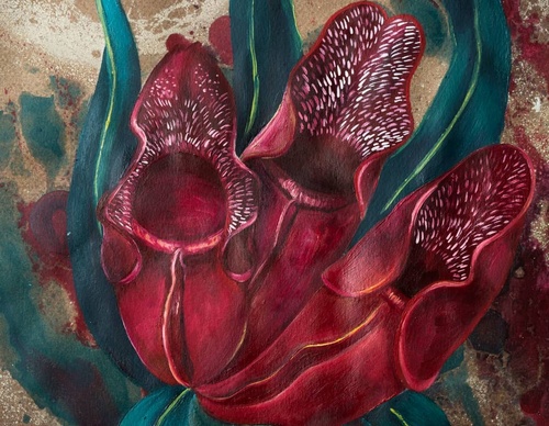 Gallery Of Painting By Alicia Nakatsuka - Argentina