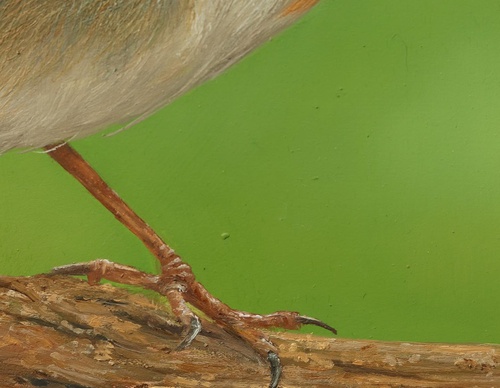 Galería de pintura realista de Annie Drew - Reino Unido