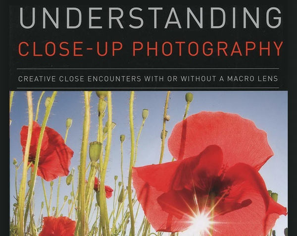 Understanding Close Up Photography