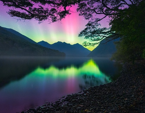 Galeria de fotografias de William Patino - Nova Zelândia