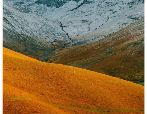 Gallery Of Photography By Daniel Casson - United Kingdom
