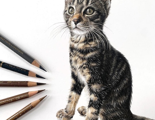 Gallery Of Realistic Painting By Lucy Joyce - United Kingdom