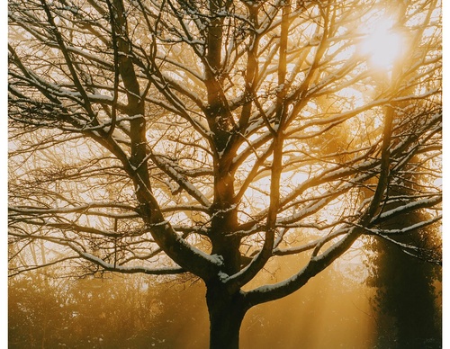 Gallery Of Photography By Daniel Casson - United Kingdom