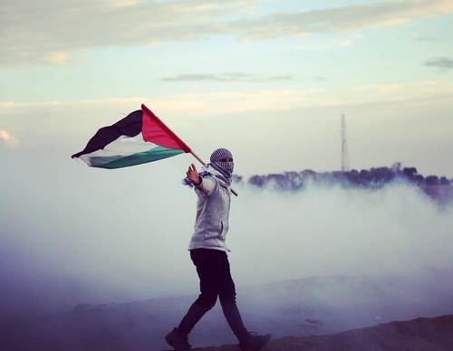 Galería de fotografías de Mohammed Zaanoun - Palestina