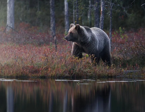 Gallery Of Photography By Elias Kalliola - USA
