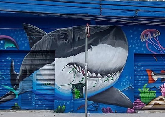 Galeria De Arte De Rua De Camilo Benedito - Brasil