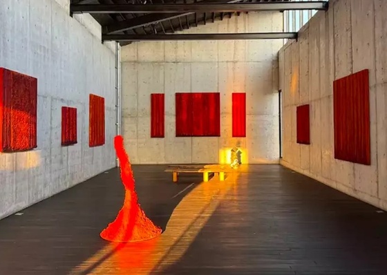 Siete exposiciones en la Semana del Arte CDMX 2025