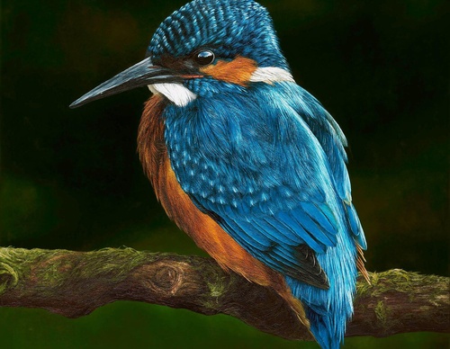 Galería de pintura realista de Annie Drew - Reino Unido