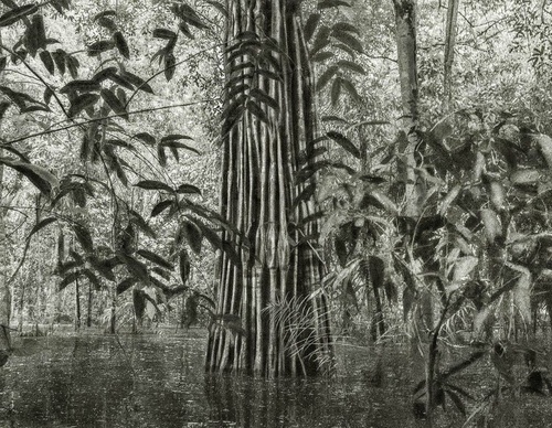 Gallery Of Photography By Cassio Vasconcellos - Brazil