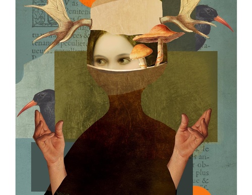 Gallery Of Illustration By Nika Novich - Polish
