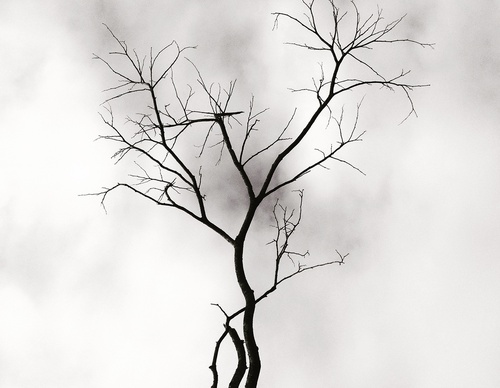 Gallery Of Photography By Matias D´Abramo - Argentina