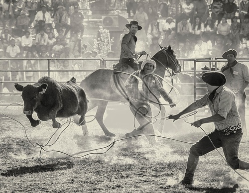 Galería de fotografía de Patricio Rodríguez - Argentina