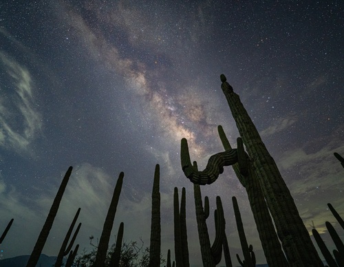Galeria de Fotografia de Joseph Ruiz Cheires - México