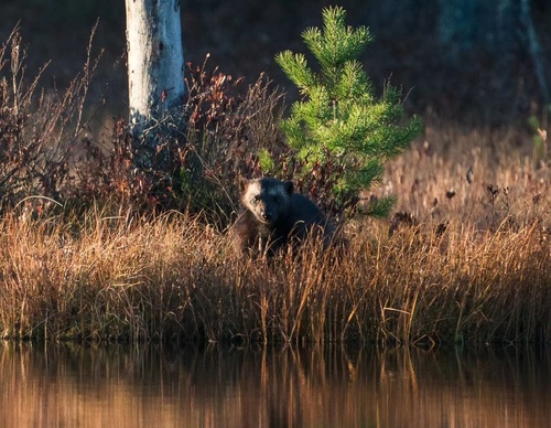 Gallery Of Photography By Elias Kalliola - USA