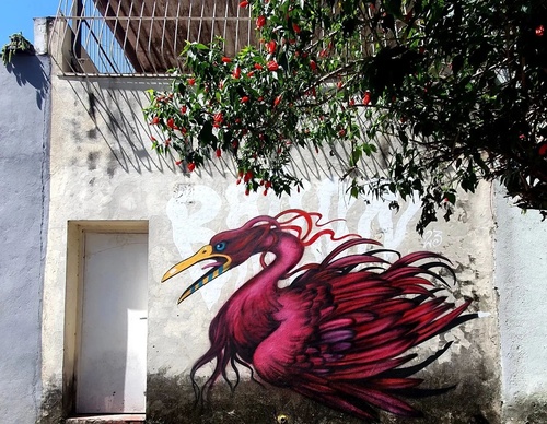 Gallery Of Street Art By Bailon - Brazil