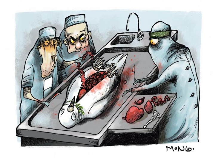The Peace of Gaza  A peace forced between terror and death. Two years after the criminal Hamas terrorist attack, the genocide continues to claim innoc