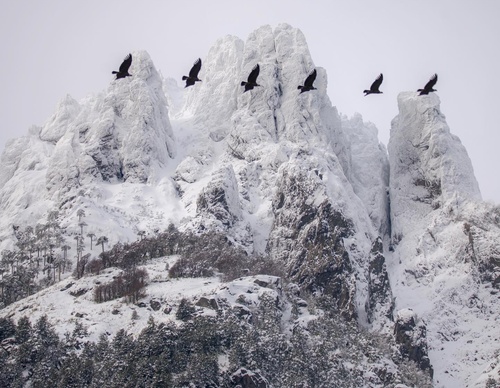 Gallery Of Photography By Fernando Gudenschwager - Chile