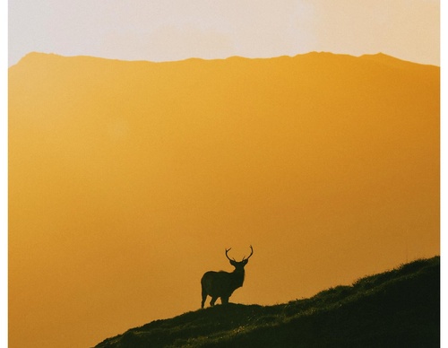 Gallery Of Photography By Daniel Casson - United Kingdom