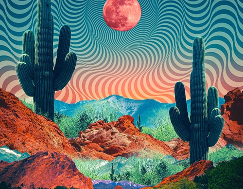 Gallery Of Illustration By Natasha Chomko - USA