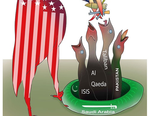 cartoon section